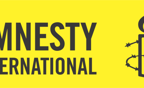 Amnesty: Police Abuse, LGBTI Threats Persist in Armenia Despite Reforms