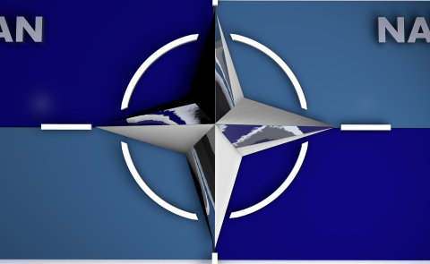 South Caucasus Countries in NATO’s 2025 Annual Report