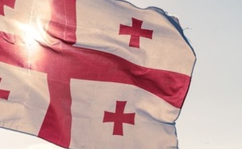 Recent Political Developments Regarding Georgia